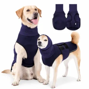 Large and small dogs wearing navy blue calming protective vests