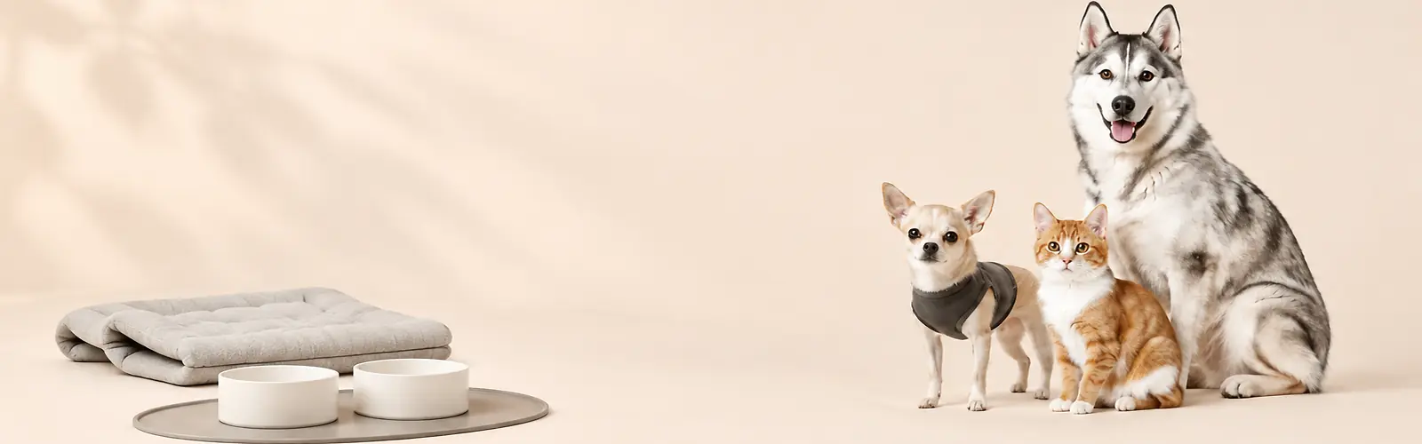 Pet living products category banner with husky Chihuahua and cat